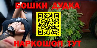 сатива Конаково