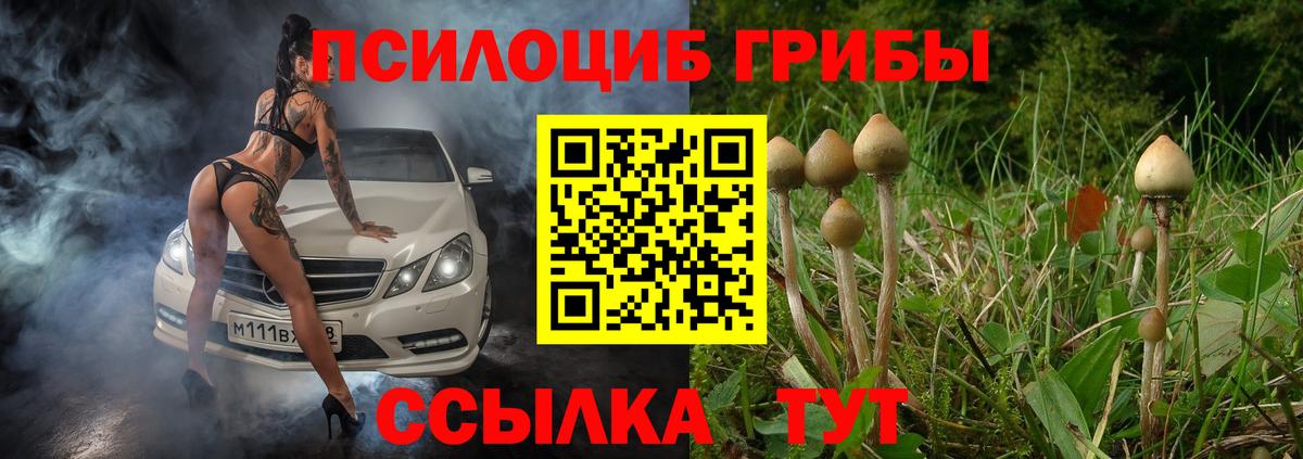 Псилоцибиновые грибы MAGIC MUSHROOMS Славгород