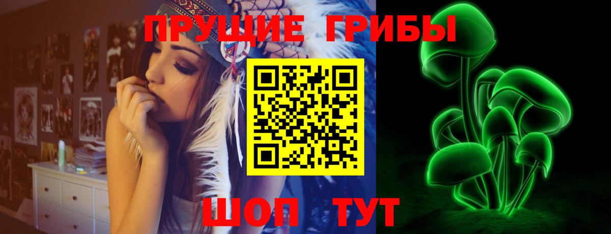 Галлюциногенные грибы MAGIC MUSHROOMS  Вход с VPN  Славгород 