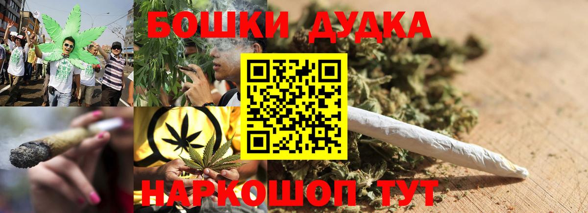 Конопля SATIVA & INDICA Славгород